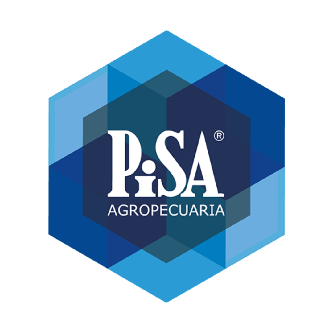 PISA.