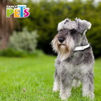 Collar antipulgas para cachorro y perro CH Fancy Pets