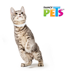 Collar antipulgas para gato Fancy Pets (Dinagos)