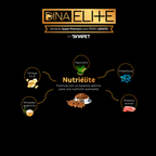Dinaelite 8 kg - Alimento super premium para perros